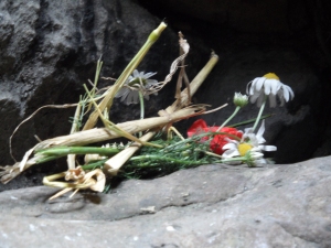 One of many bunches of wildflowers placed on stones within the chamber.