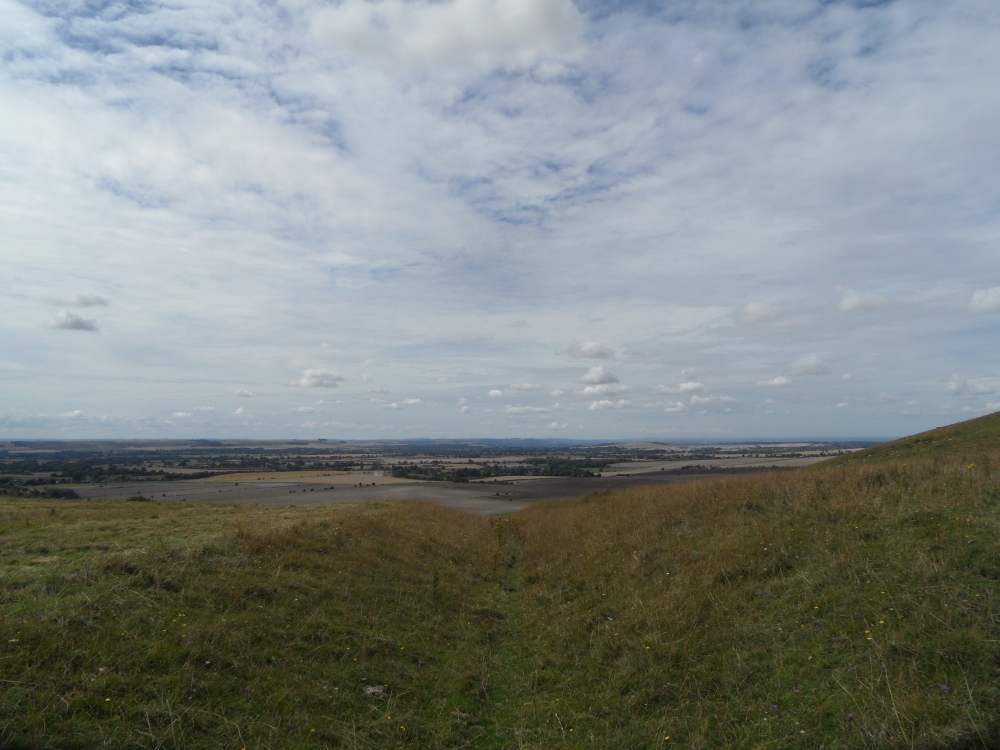 Looking along one of the Adam's Grave ditches on Walker's Hill, revealing the Vale of Pewsey below. 