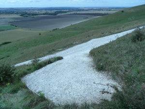 The tail of the White Horse, looking south-west towards the villages of Stanton St Bernard and All Cannings.